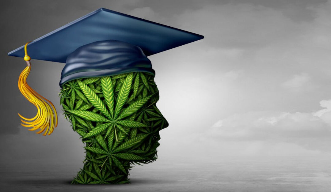 Six Excellent Online Educational Opportunities in the Cannabis Industry