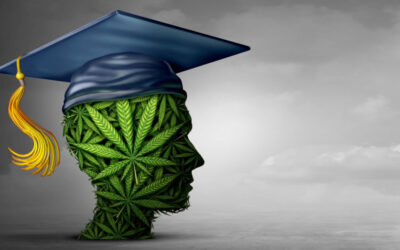 Six Excellent Online Educational Opportunities in the Cannabis Industry