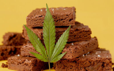 How to Make Classic Weed Brownies (and Space Cake Too)