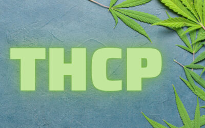 THCP: 30 Times Stronger Than THC?