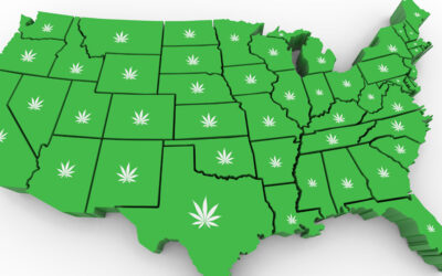 Weed Legality By State – Use and Cultivation