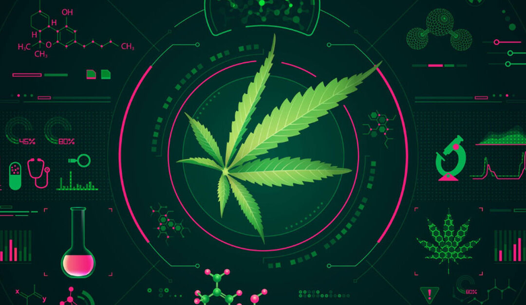 THC-O, HHC, and All of The Cannabinoids