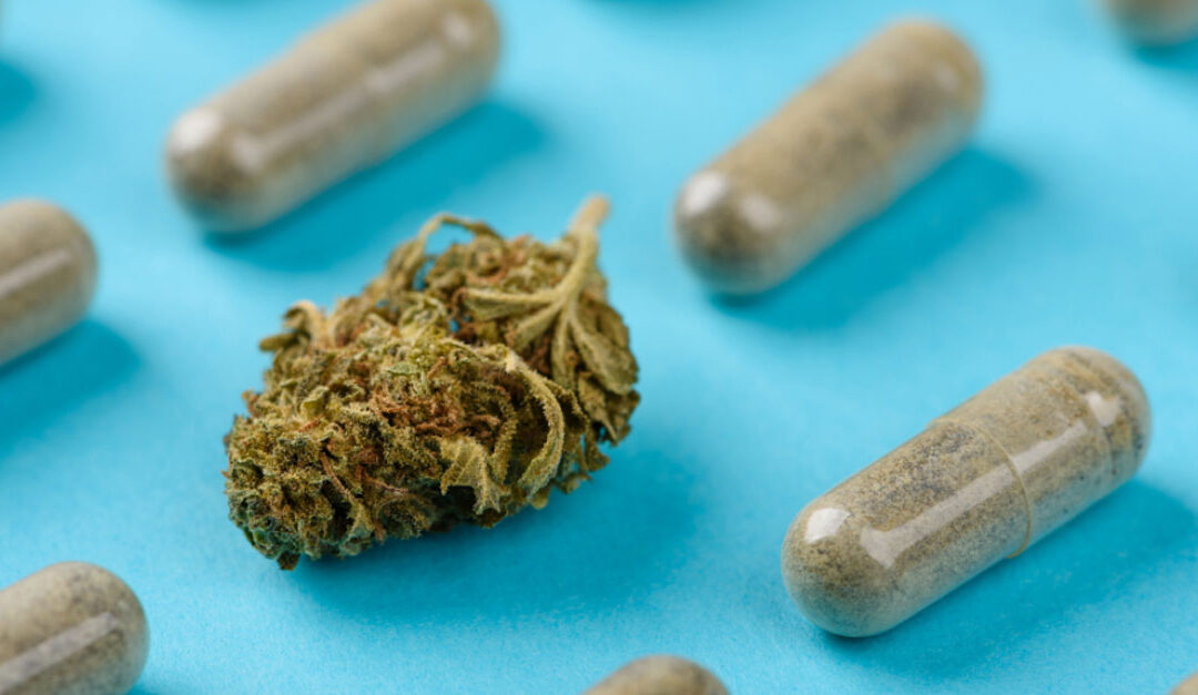 The Five Best Supplements for Cannabis Users