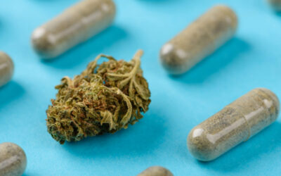 The Five Best Supplements for Cannabis Users