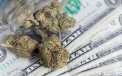 Marijuana on a Budget