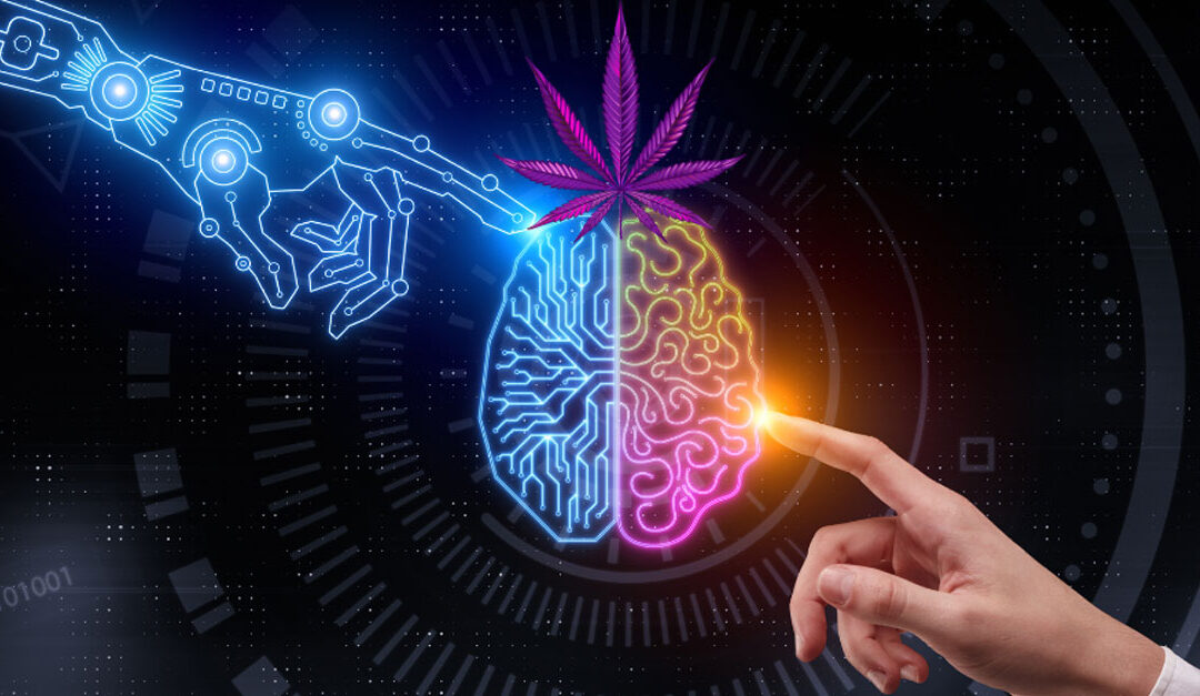 Things We Didn’t Know About Weed Until AI Told Us