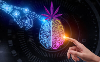 Things We Didn’t Know About Weed Until AI Told Us