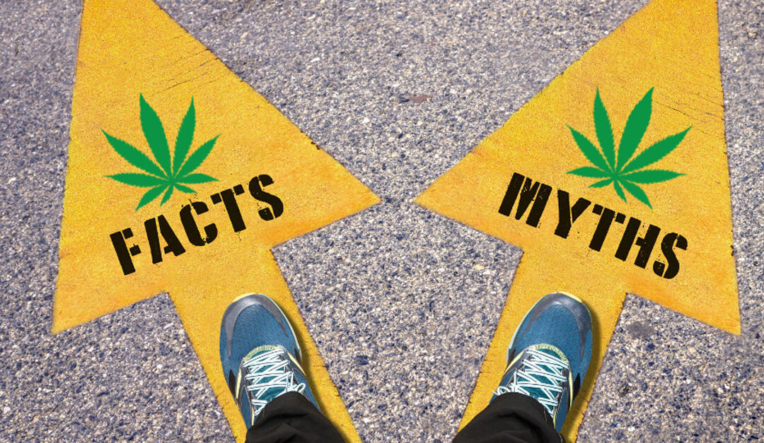 Cannabis Myths Debunked: Separating Fact from Fiction