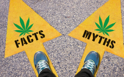 Cannabis Myths Debunked: Separating Fact from Fiction