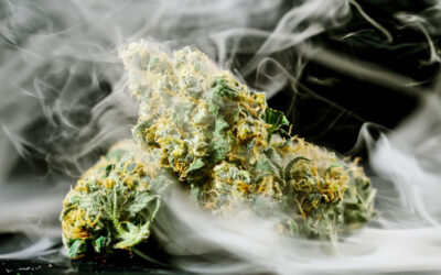 The Stundenglass – Changing the Way We Smoke Cannabis