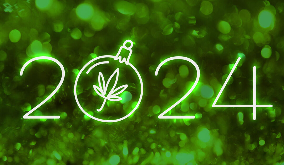 Revolutionary New Cannabis Products for 2024