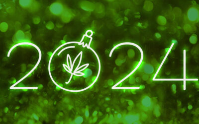 Revolutionary New Cannabis Products for 2024