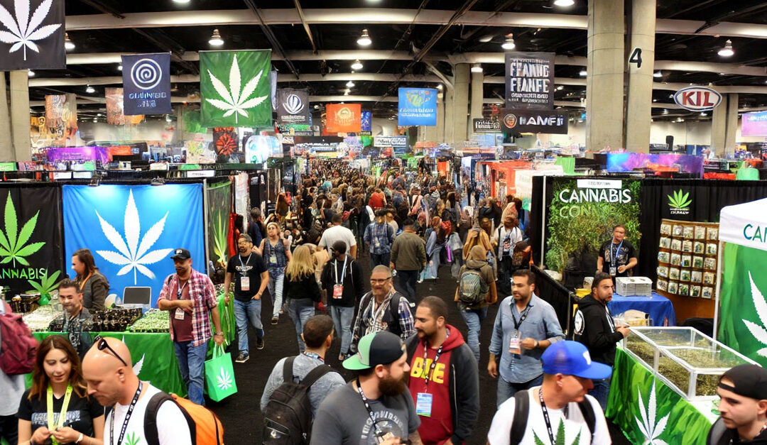 Elevating the Industry: Essential Cannabis Conventions for 2024-2025