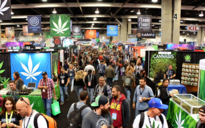 Elevating the Industry: Essential Cannabis Conventions for 2024-2025